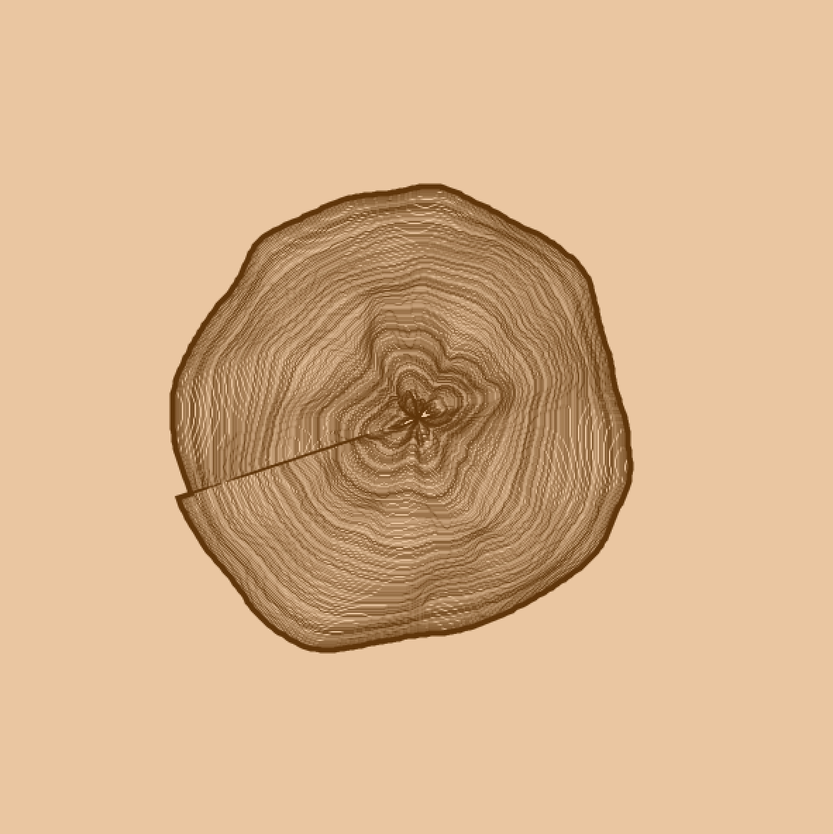 Art from Code: A Response to Grace Hertlein