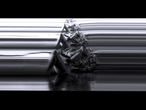 Conceptual Art: Protea