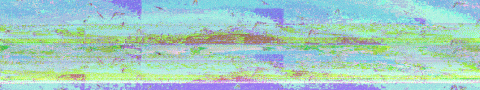 Hack & Glitch